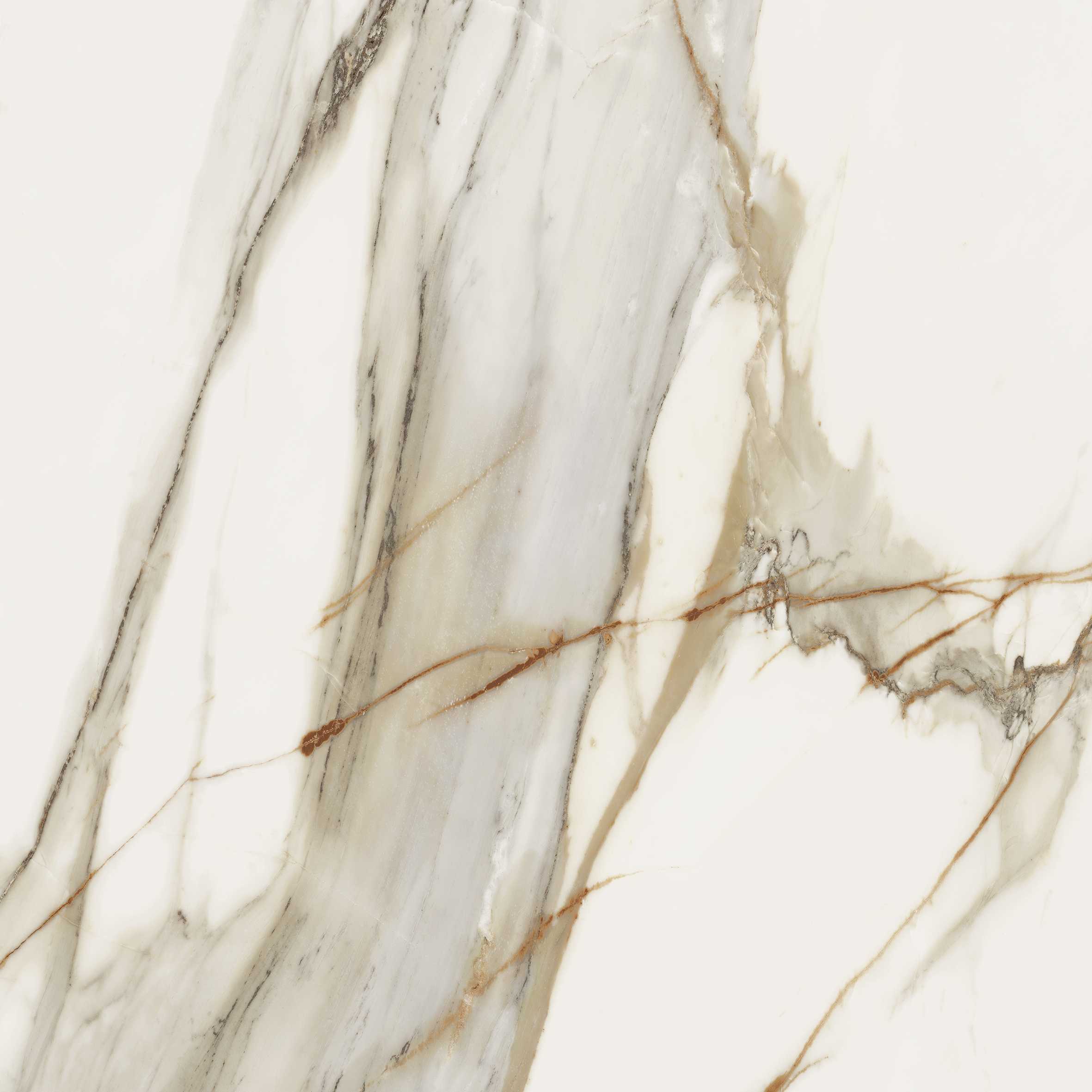 80mv03e_macchia_vecchia_120x120_01_rgb