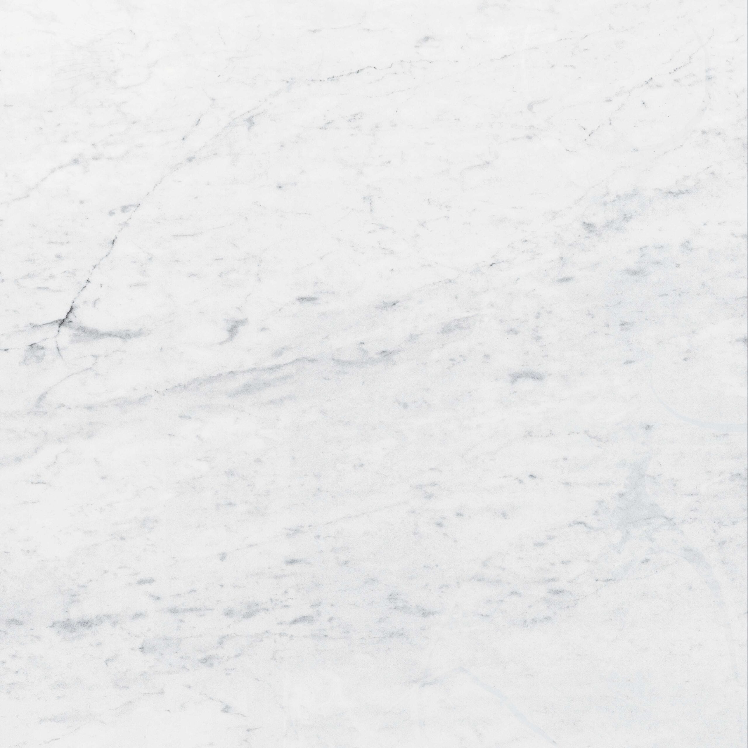 80rr43p_c056-carra-p-e1-1200x1200_rgb